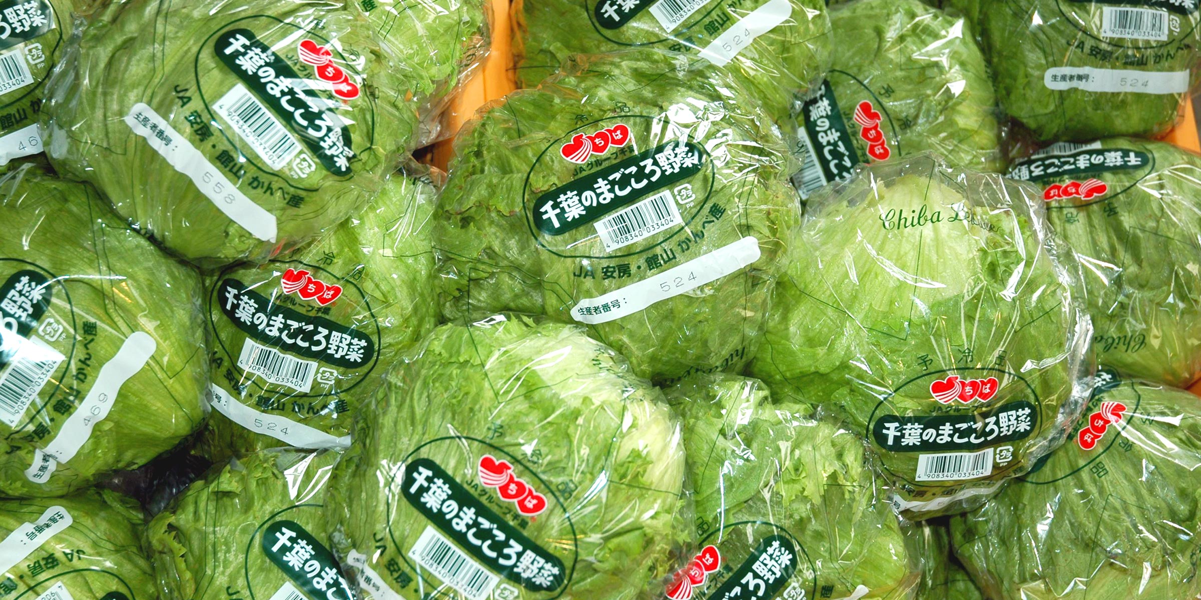 農産物トレーサビリティ